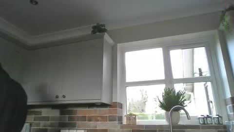 martinrgbxxxx online show from December 15, 2024, 9:56 am