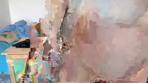 Moose online show from January 21, 2025, 9:13 am