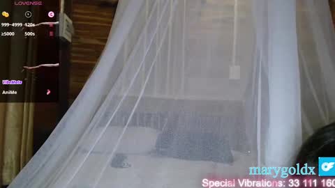 Snapshot of maryhillx chatting on January 20, 2025, 6:53 am MaryHill online show from January 20, 2025, 6:53 am