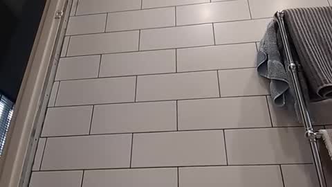 Bob online show from October 14, 2025, 8:15 am