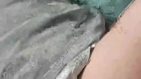 mathisdavid6757 online show from November 22, 2025, 1:32 pm