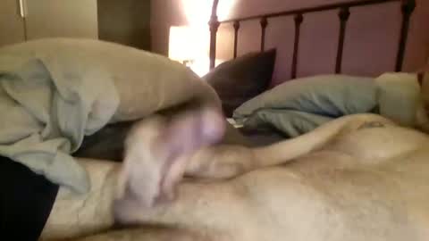 matrixdog69 online show from November 4, 2025, 4:06 pm