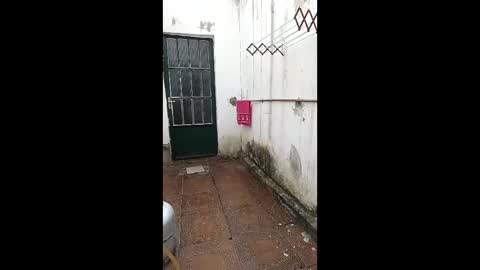 mature_boy77 online show from February 3, 2026, 5:29 pm