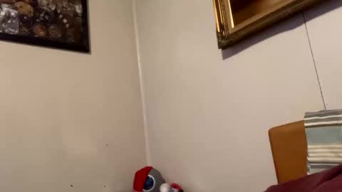 Snapshot of maturejerky chatting on February 27, 2025, 10:31 pm maturejerky online show from February 27, 2025, 10:31 pm