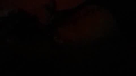 Lira online show from February 23, 2026, 7:39 am