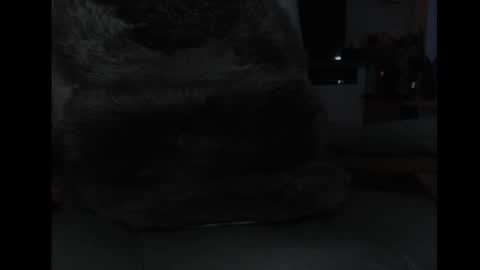 mav1962 online show from April 5, 2026, 6:05 pm