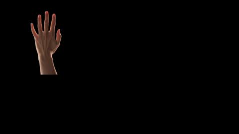 Future Max online show from February 24, 2025, 4:26 pm