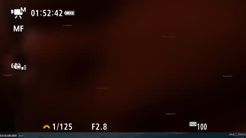 Maximus7871 online show from January 31, 2025, 11:35 pm