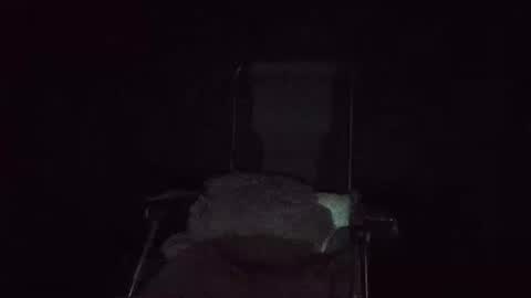 Snapshot of maximus_oreally chatting on January 20, 2025, 9:03 am Max online show from January 20, 2025, 9:03 am