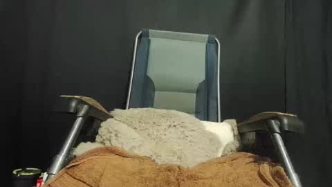 Snapshot of maximus_oreally chatting on January 22, 2025, 10:05 pm Max online show from January 22, 2025, 10:05 pm