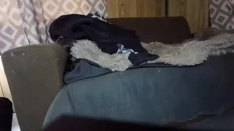 Snapshot of maximus_oreally chatting on February 1, 2025, 7:15 am Max online show from February 1, 2025, 7:15 am