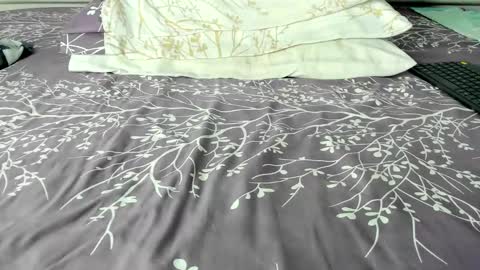 Maybelline69 online show from October 28, 2025, 9:17 pm