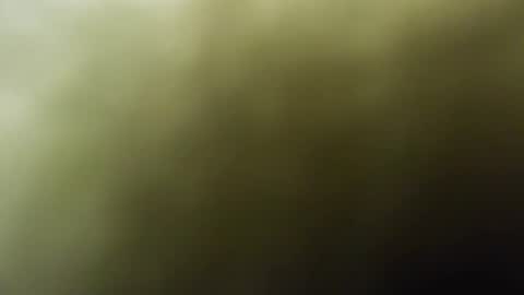 Snapshot of maylee_x chatting on February 15, 2025, 12:01 pm maylee_x online show from February 15, 2025, 12:01 pm