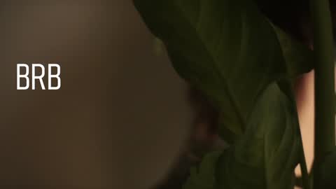 Mary  . online show from December 28, 2024, 8:58 am