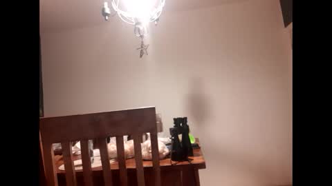 Snapshot of mccock16cm chatting on February 16, 2025, 3:47 am mccock16cm online show from February 16, 2025, 3:47 am