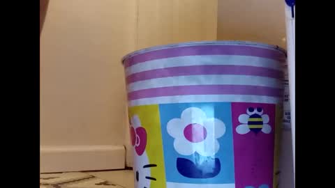 meaderd740870 online show from January 23, 2025, 4:19 am