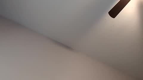 Snapshot of meanfinger chatting on February 13, 2026, 3:30 pm Jizzy online show from February 13, 2026, 3:30 pm