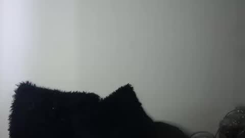 Megan and sophi online show from September 19, 2025, 9:37 pm