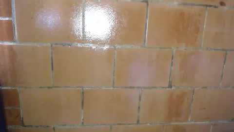 Megan and sophi online show from April 9, 2026, 8:25 pm