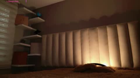     online show from November 14, 2025, 12:04 pm