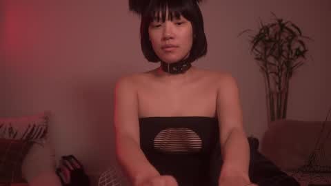  for more 3 online show from October 8, 2025, 2:20 am