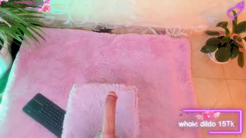 MELISSA online show from February 8, 2025, 11:33 am