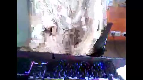 meks5544 online show from April 12, 2026, 11:15 am