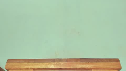 Melania online show from March 1, 2025, 6:24 am