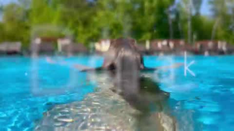 Adel online show from February 28, 2026, 6:09 pm