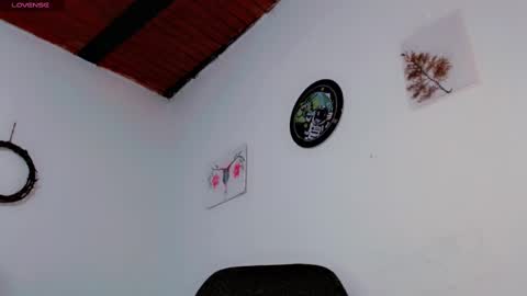  Carol - Dany  online show from January 21, 2025, 2:22 am