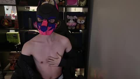 MellPUP online show from March 30, 2026, 1:45 pm