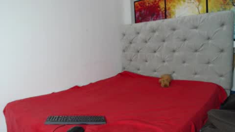 melody phillips online show from December 9, 2024, 7:17 am