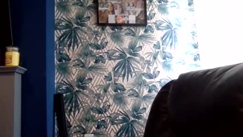 melony_bigd online show from November 8, 2025, 11:54 am