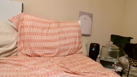 melxiss online show from September 13, 2025, 6:51 pm