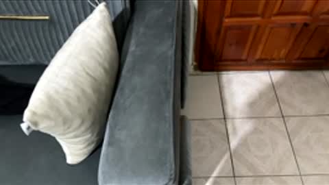 Chucky1200 online show from February 27, 2026, 8:42 pm