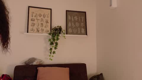  Memphis Williams  online show from February 19, 2026, 2:40 am