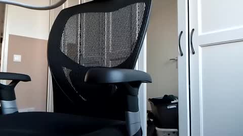 DutchFun Cock online show from March 4, 2025, 4:41 pm