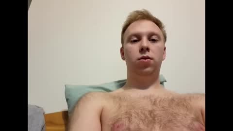 meow732 online show from November 1, 2025, 7:05 pm