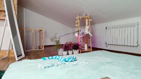 meowroslava online show from November 19, 2025, 10:04 am