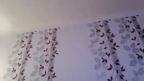 Snapshot of metallbuddy chatting on January 18, 2026, 11:19 pm ask me online show from January 18, 2026, 11:19 pm