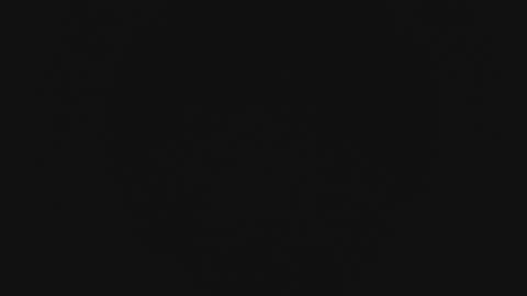 Wade online show from February 13, 2026, 11:28 am