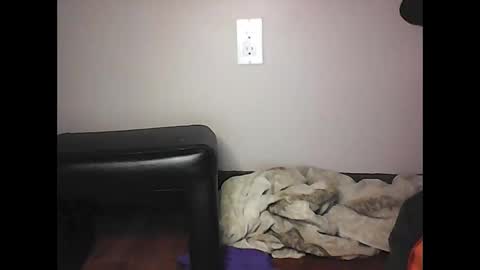 Snapshot of mi45419 chatting on November 2, 2025, 7:05 pm mi45419 online show from November 2, 2025, 7:05 pm