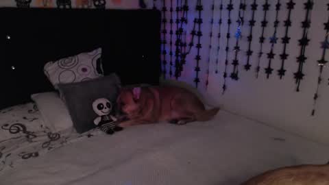 mia online show from February 18, 2026, 11:33 pm