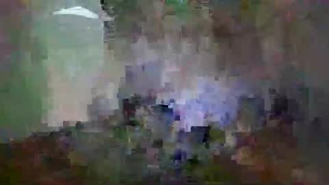 miagomezx online show from February 14, 2026, 12:02 pm