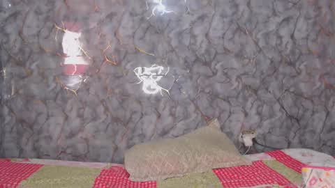 Snapshot of miarouse1531 chatting on February 7, 2026, 3:27 pm miarouse1531 online show from February 7, 2026, 3:27 pm