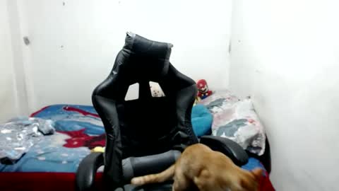 mia online show from May 9, 2026, 4:17 am