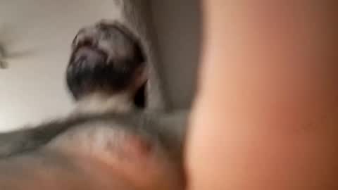 Snapshot of michael666c chatting on February 27, 2025, 9:00 am michael666c online show from February 27, 2025, 9:00 am