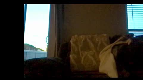 Snapshot of michaelt483 chatting on February 21, 2026, 11:06 pm michaelt483 online show from February 21, 2026, 11:06 pm