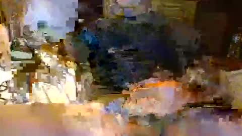 michiganstud28 online show from April 22, 2026, 2:14 am