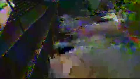 midtownhustler online show from March 25, 2026, 3:07 pm